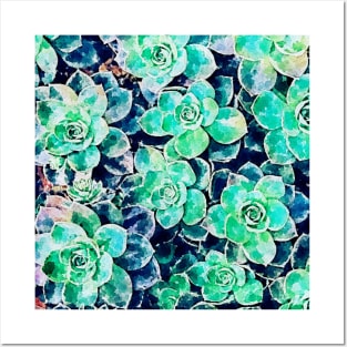 Succulent watercolor Posters and Art